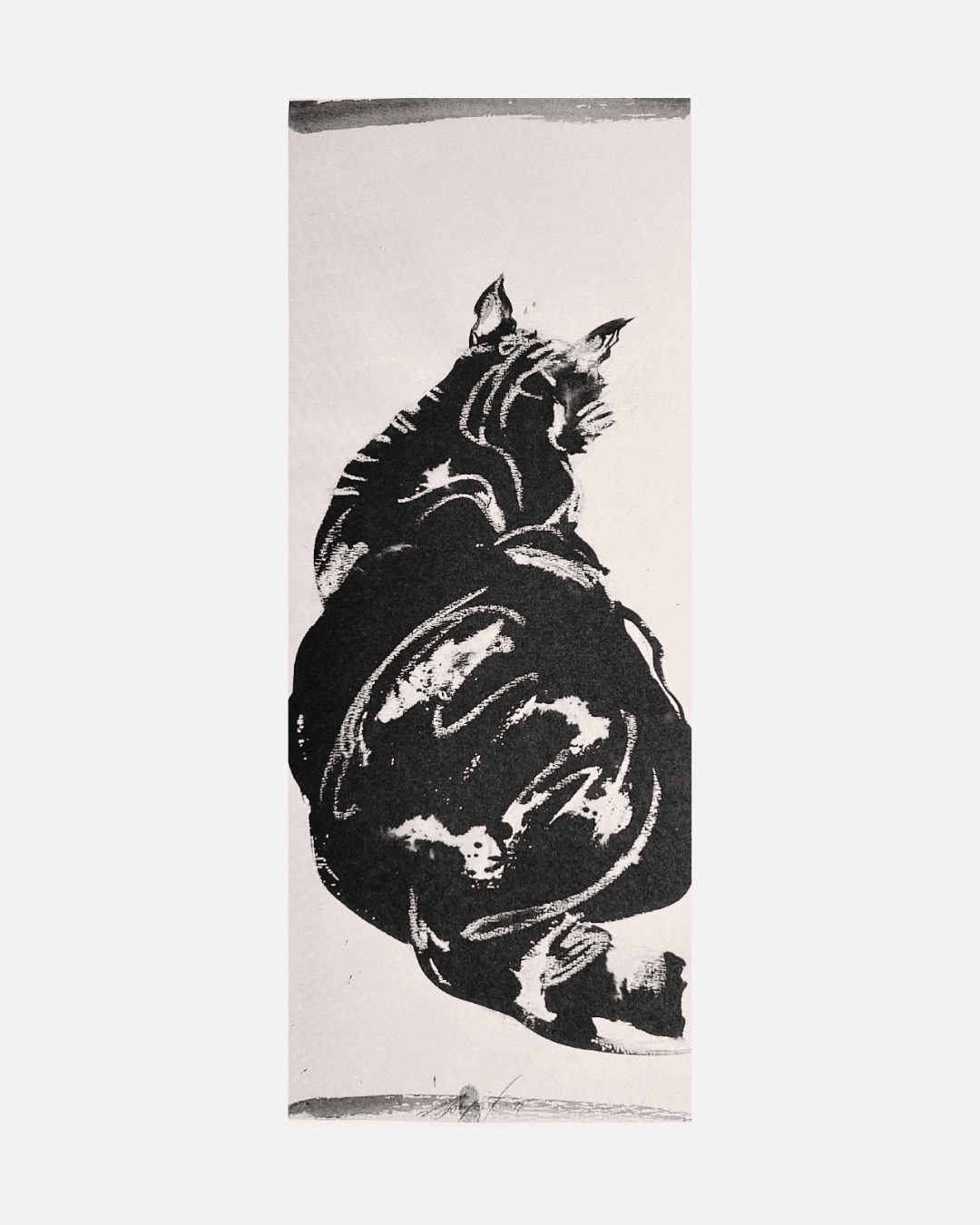 Chat vu de dos — Encre de Sonja Knapp